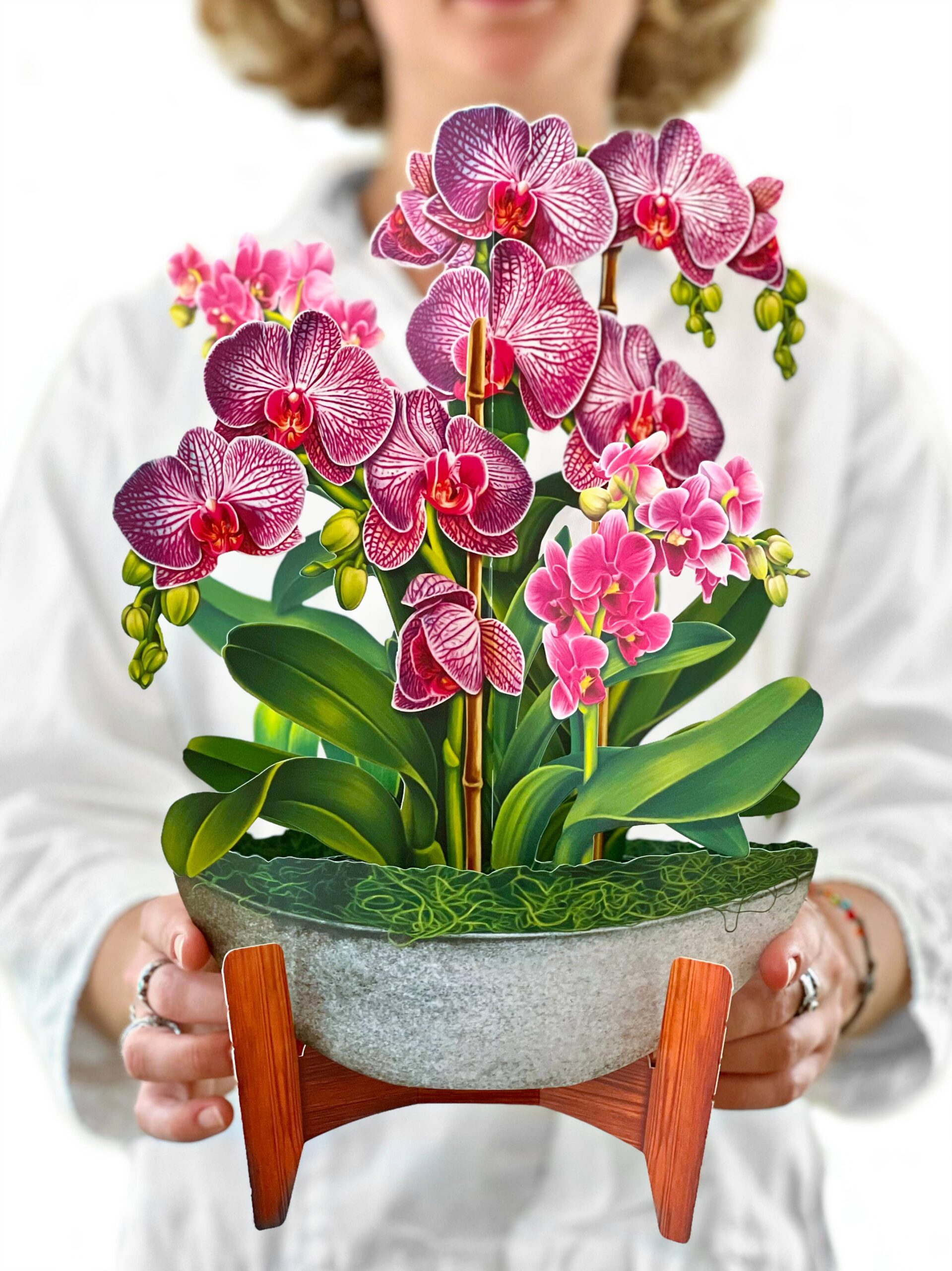 Orchid Oasis (8 Pop-up Greeting Cards)